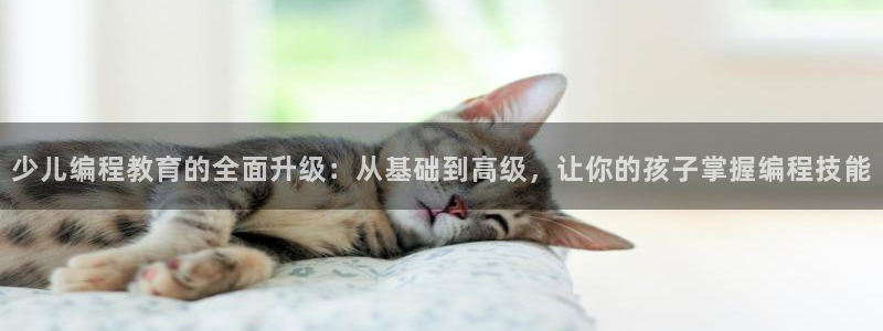必一体育在线玩