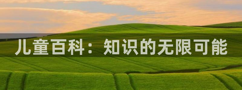必一体育流水线是什么意思