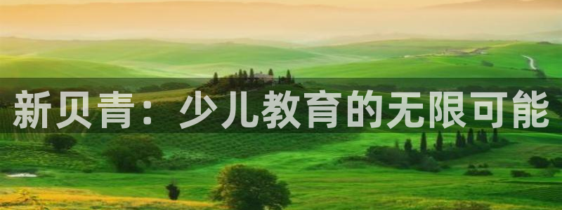 必一体育手机下载